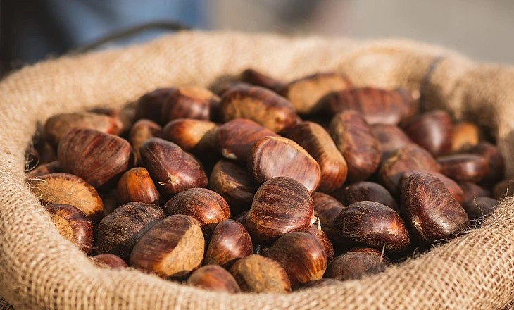 Venta de castaños en Zamora